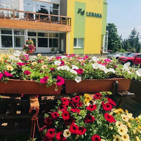 Hotel Lesana Stará Lesná Екстериор снимка